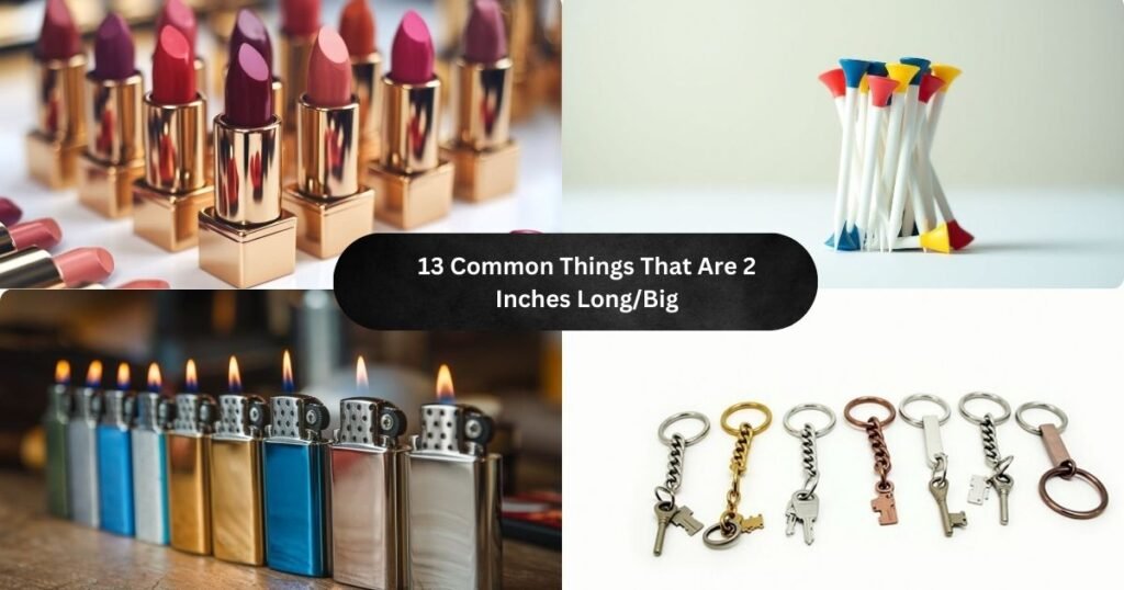 13 Common Things That Are 2 Inches Long/Big